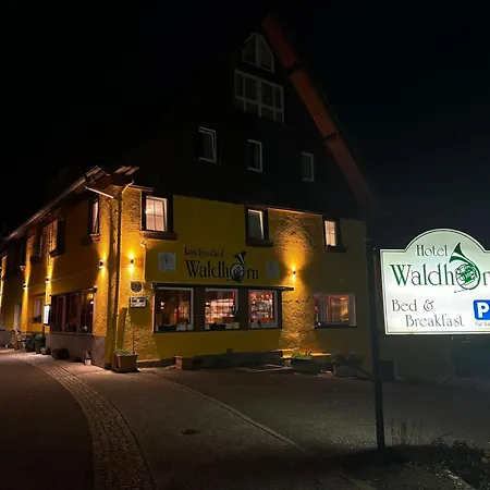 Otel Landgasthaus Waldhorn 2*