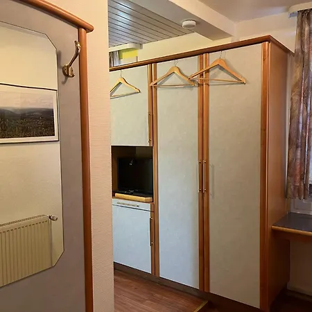 Landgasthaus Waldhorn 2* Forbach