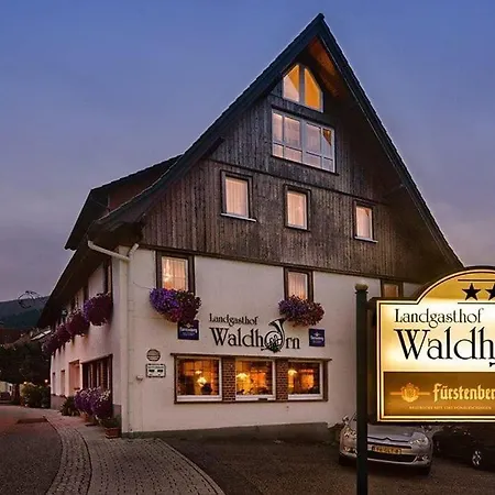 Landgasthaus Waldhorn 2* Forbach