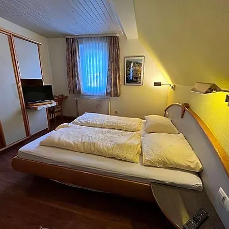 Landgasthaus Waldhorn فندق 2*